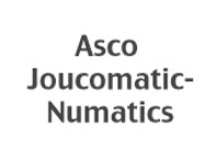 Asco Joucomatic-Numatics logo